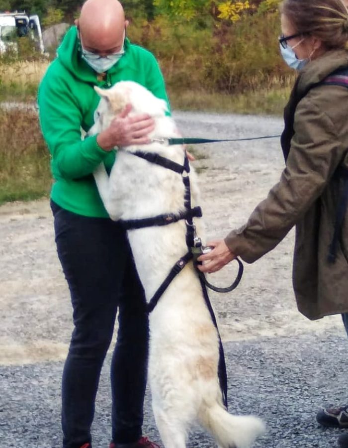 Hundeschule Harmonic Dogs Bayreuth Hundehilfe Mariechen Danke